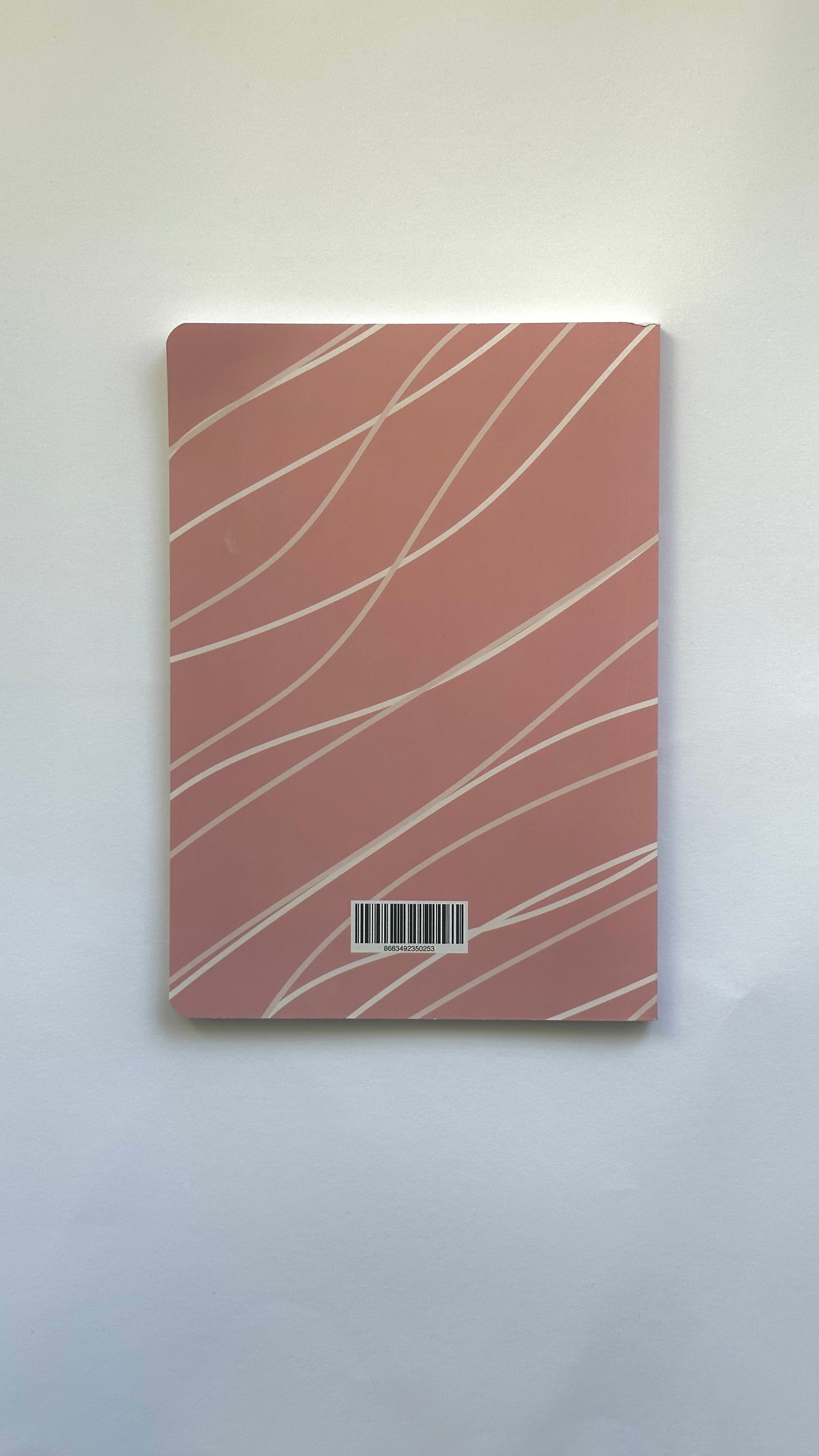 Aesthetic Notebook - Terra Rose Wave Edition