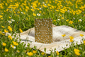 Aesthetic Notebook – Mustard Bloom Edition