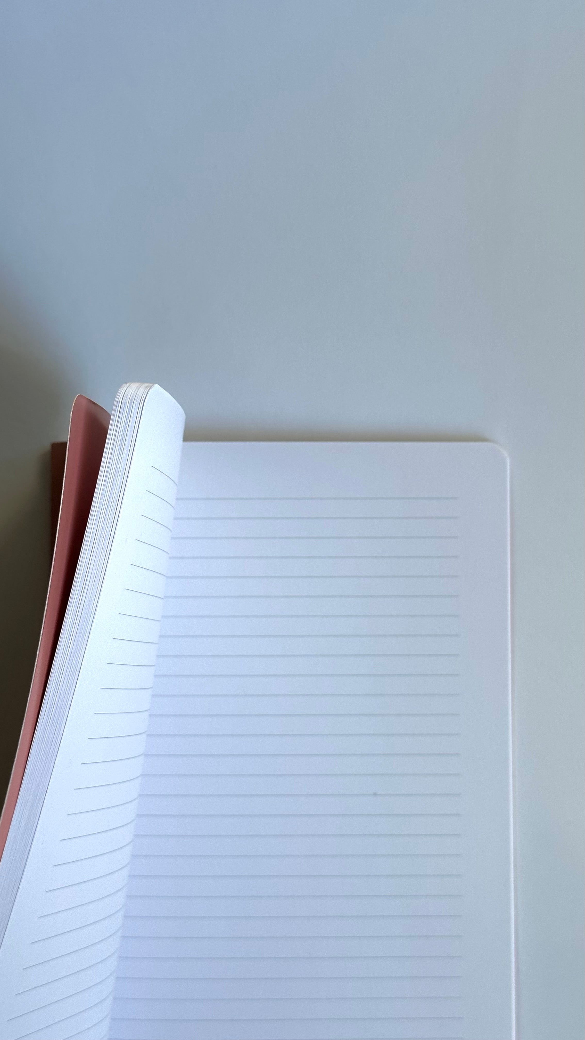 Aesthetic Notebook - Terra Rose Wave Edition