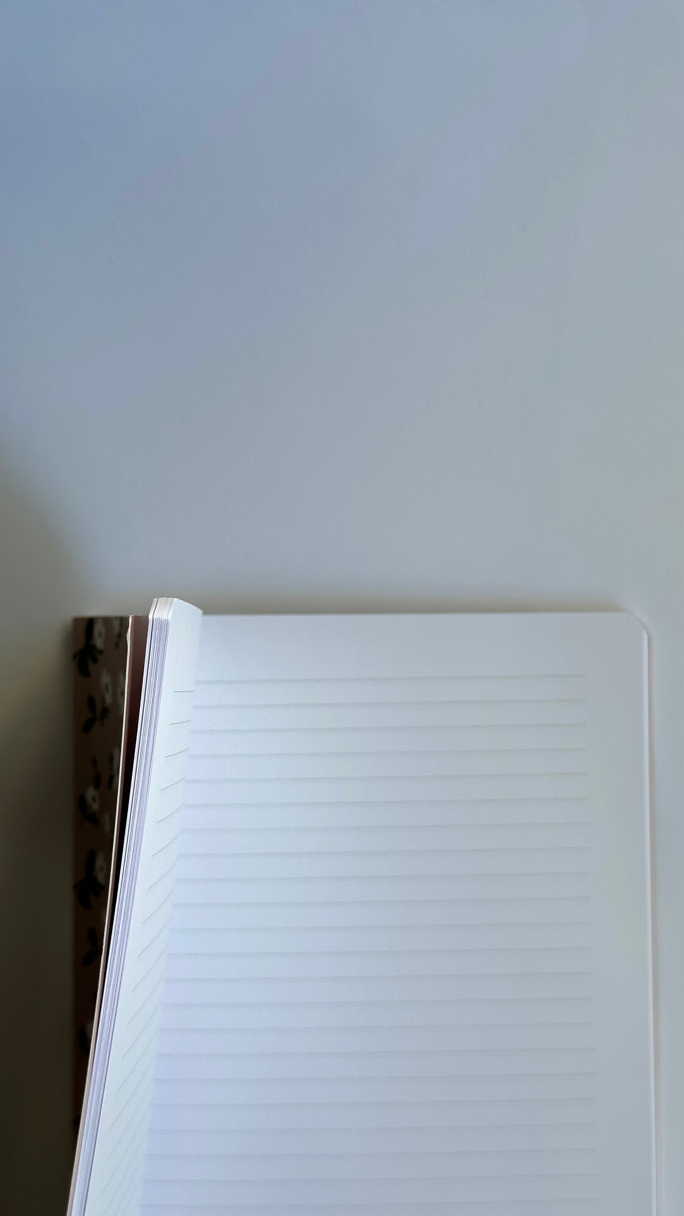 Aesthetic Notebook – Pink Bloom Edition